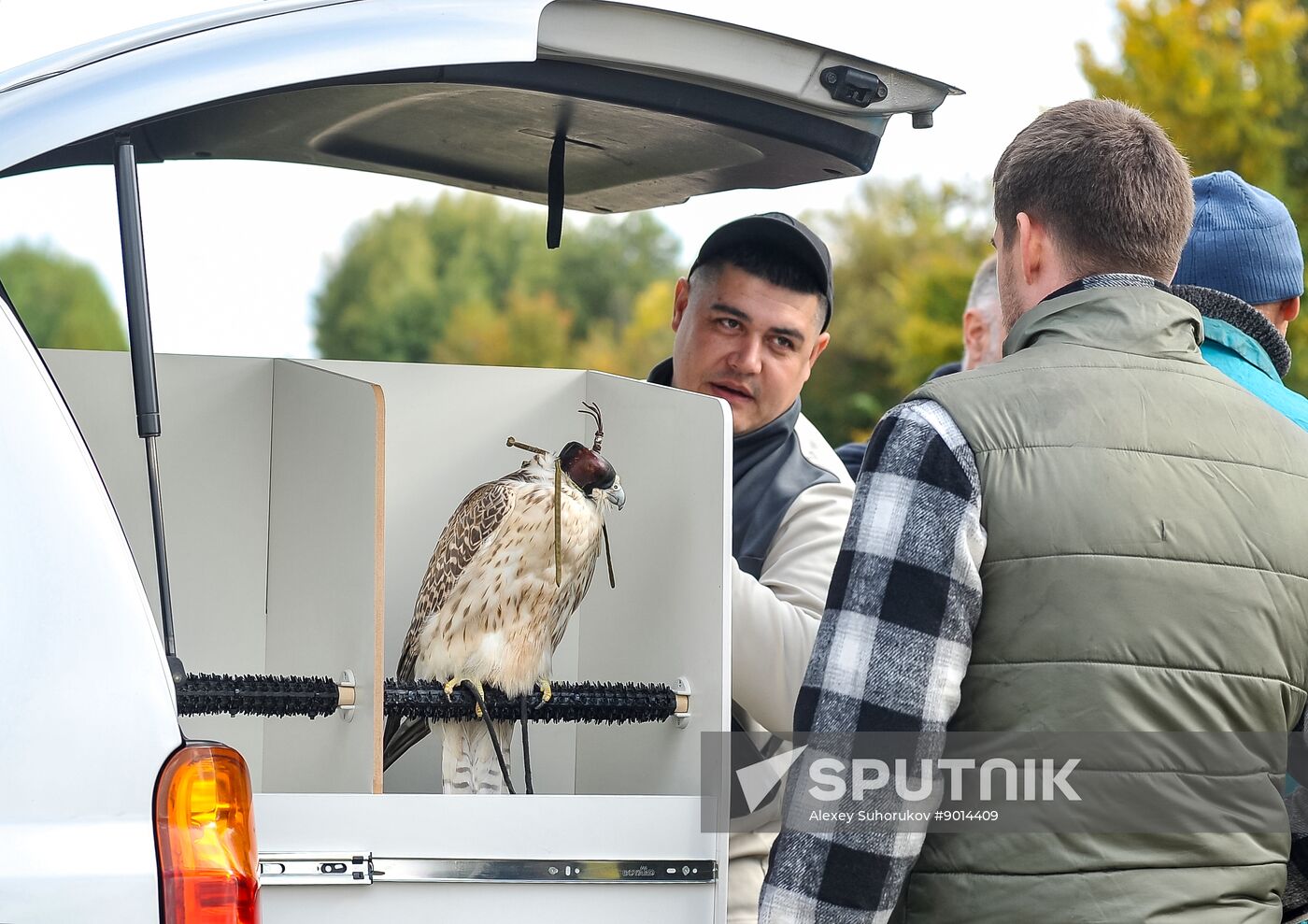 Russia Falconers Gathering