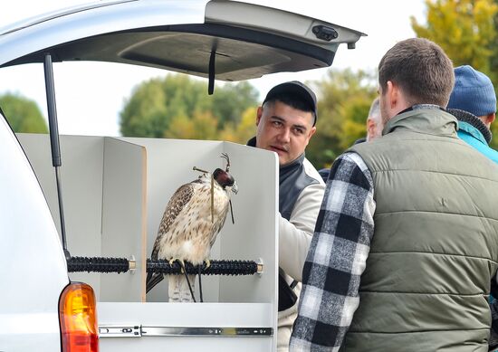 Russia Falconers Gathering