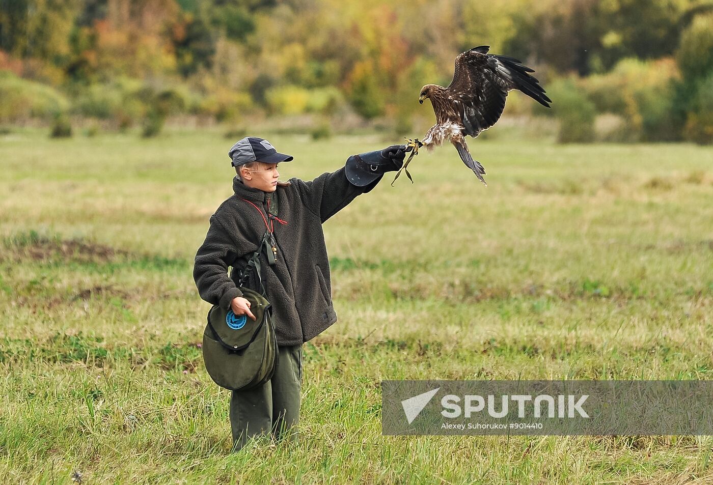Russia Falconers Gathering