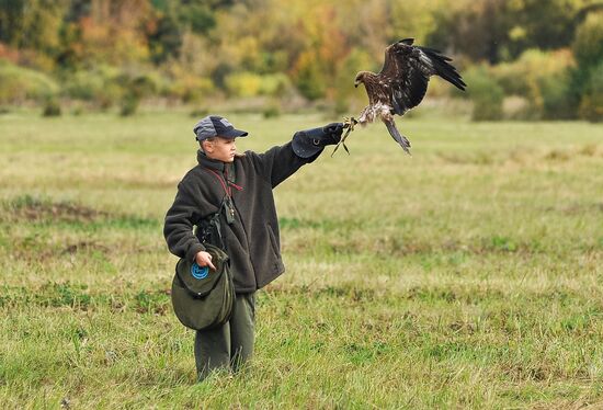 Russia Falconers Gathering
