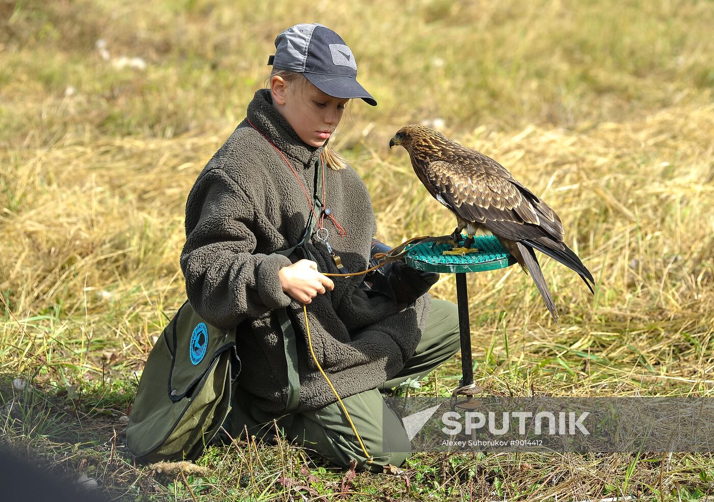Russia Falconers Gathering