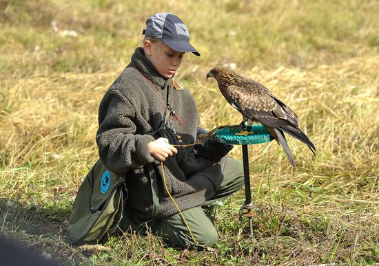 Russia Falconers Gathering