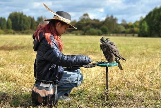 Russia Falconers Gathering
