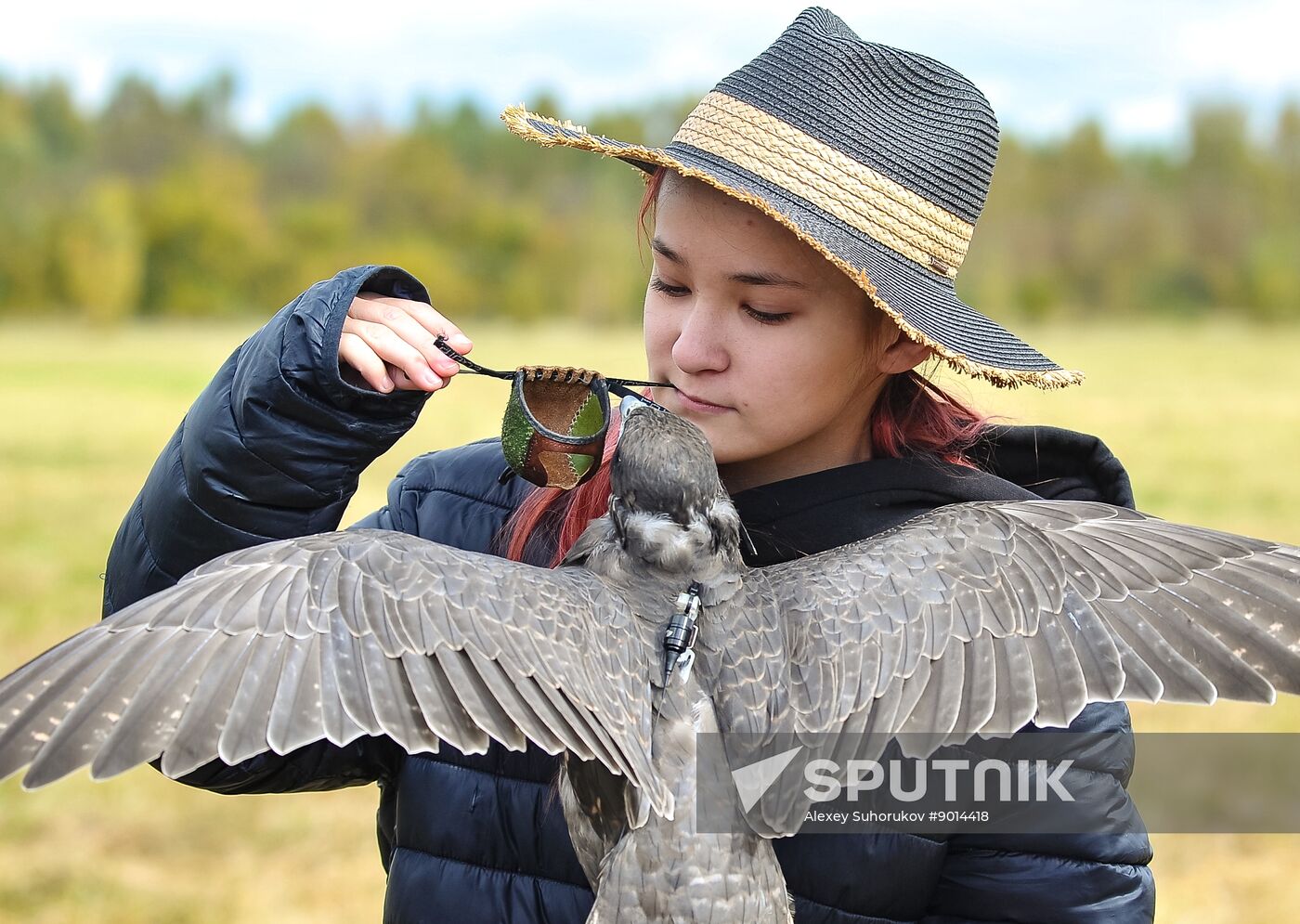 Russia Falconers Gathering