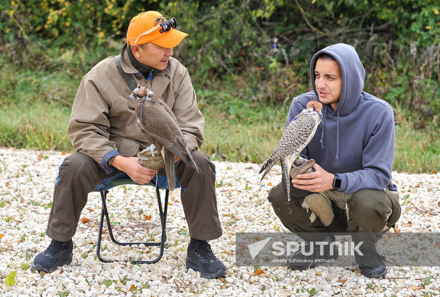 Russia Falconers Gathering