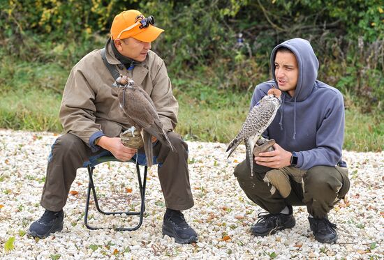Russia Falconers Gathering
