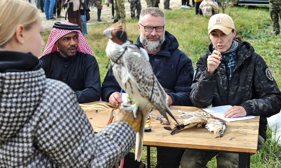 Russia Falconers Gathering