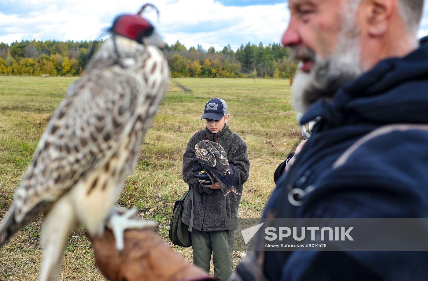 Russia Falconers Gathering