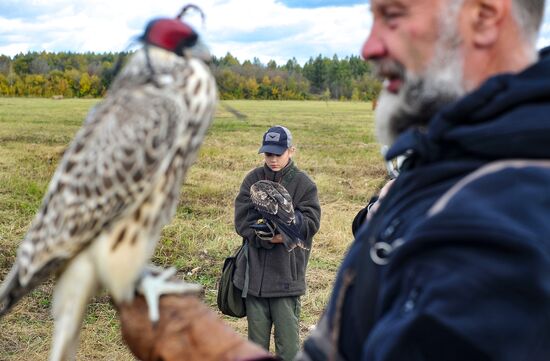 Russia Falconers Gathering