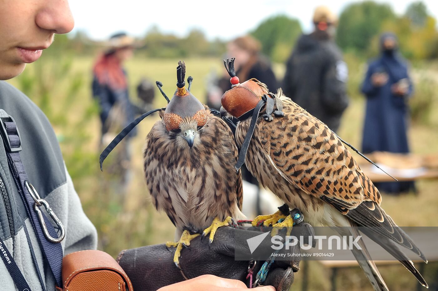 Russia Falconers Gathering