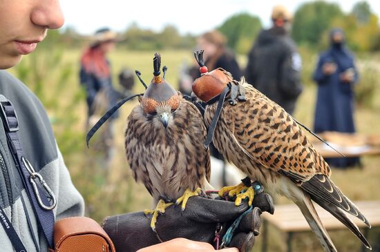 Russia Falconers Gathering
