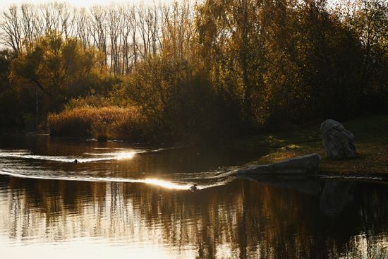 Russia Environment