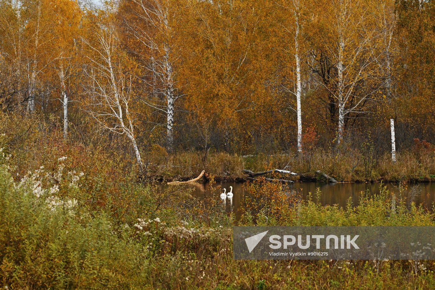 Russia Environment