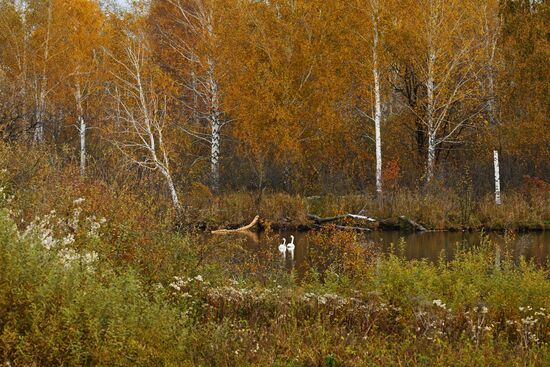 Russia Environment