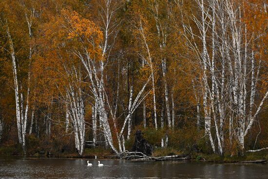 Russia Environment
