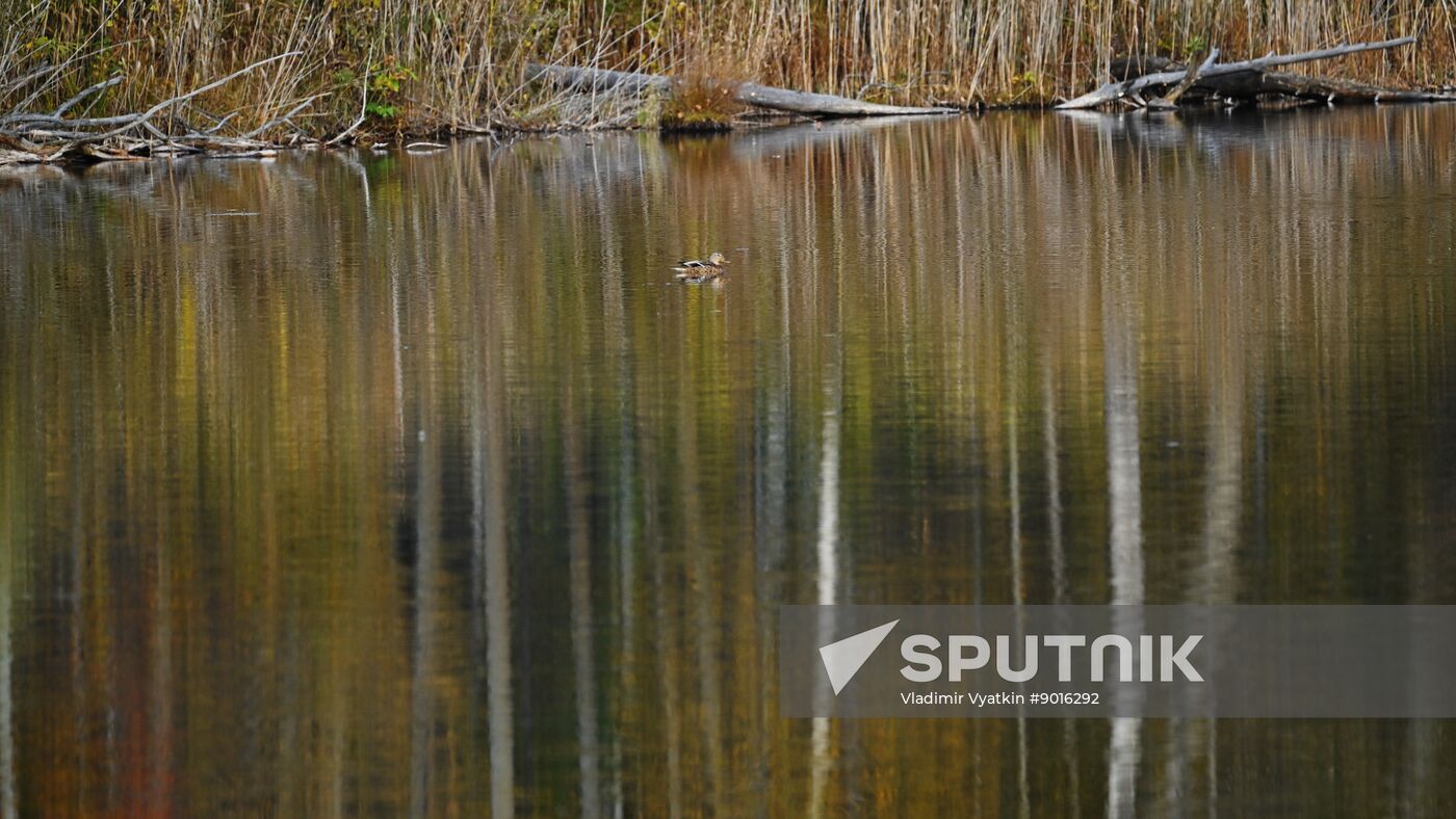 Russia Environment