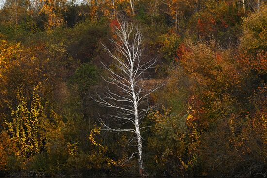 Russia Environment