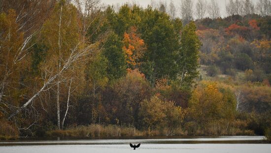 Russia Environment