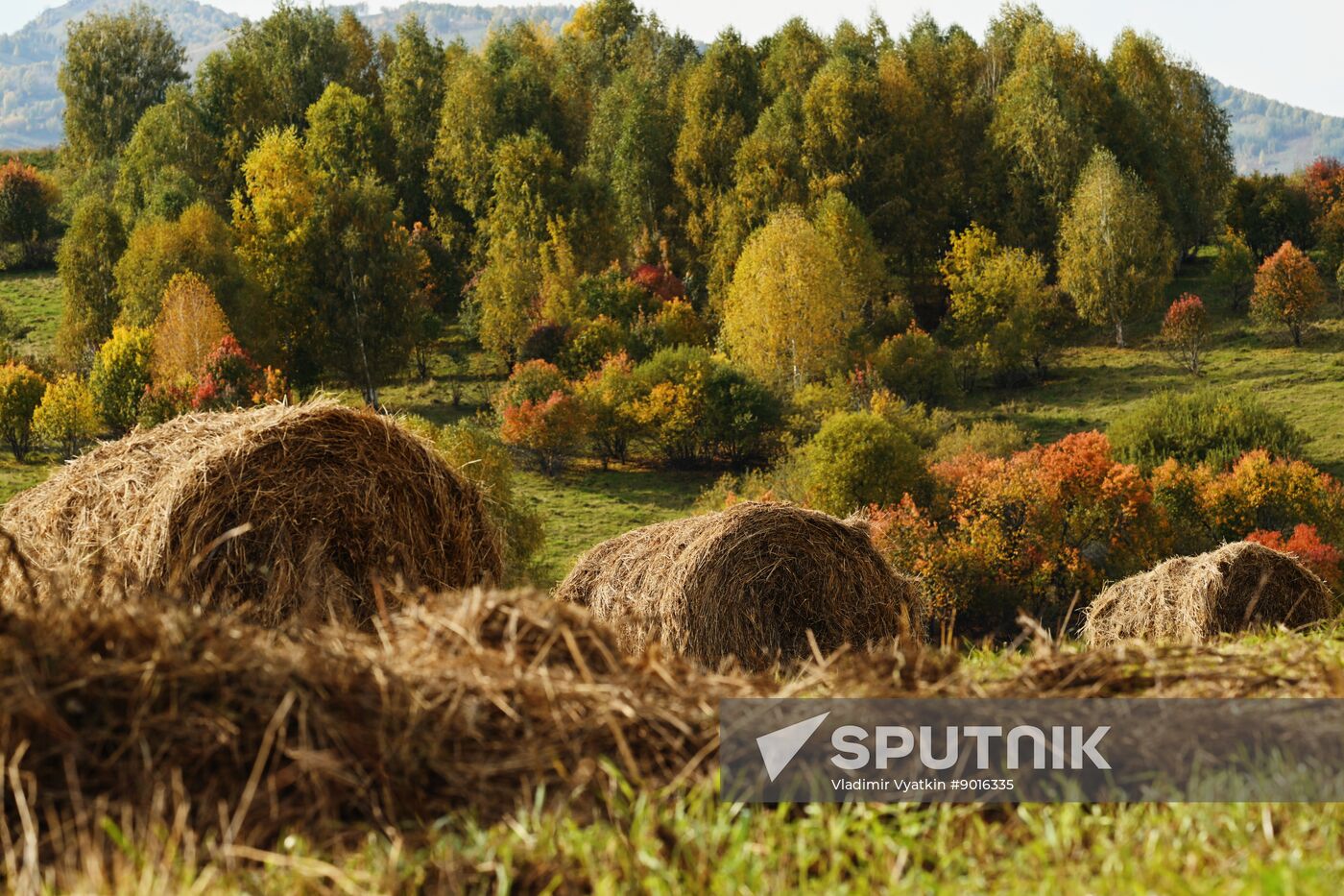 Russia Environment