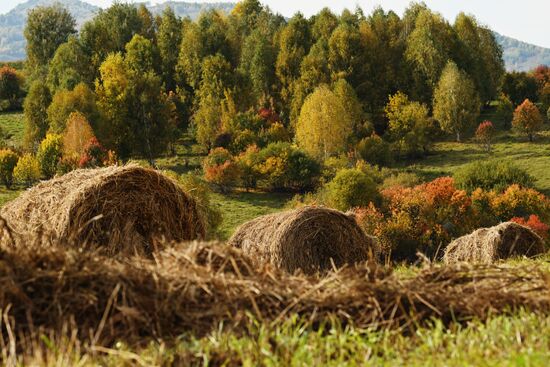 Russia Environment