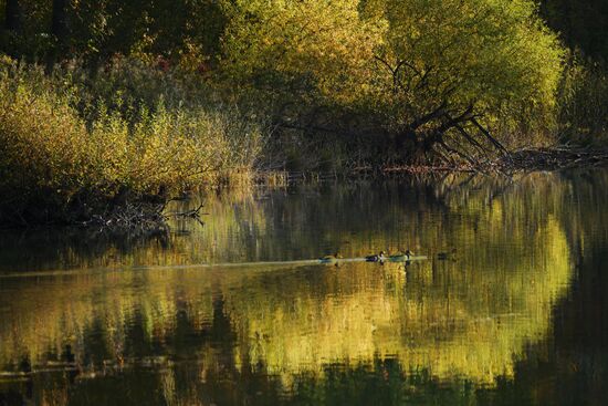 Russia Environment