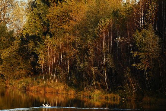 Russia Environment
