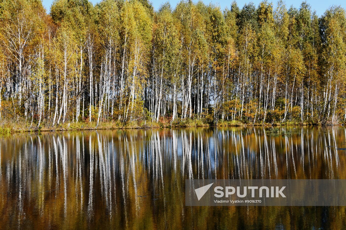 Russia Environment