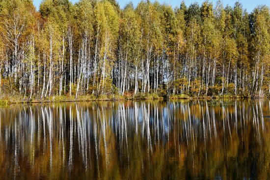 Russia Environment