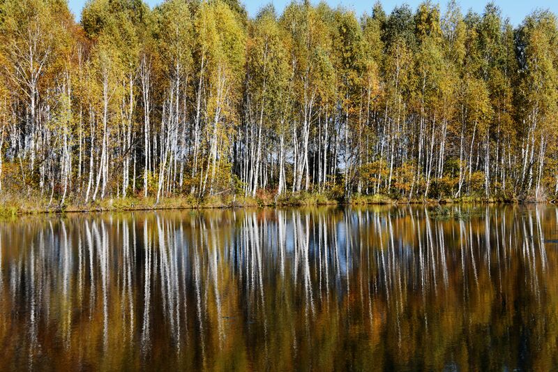 Russia Environment