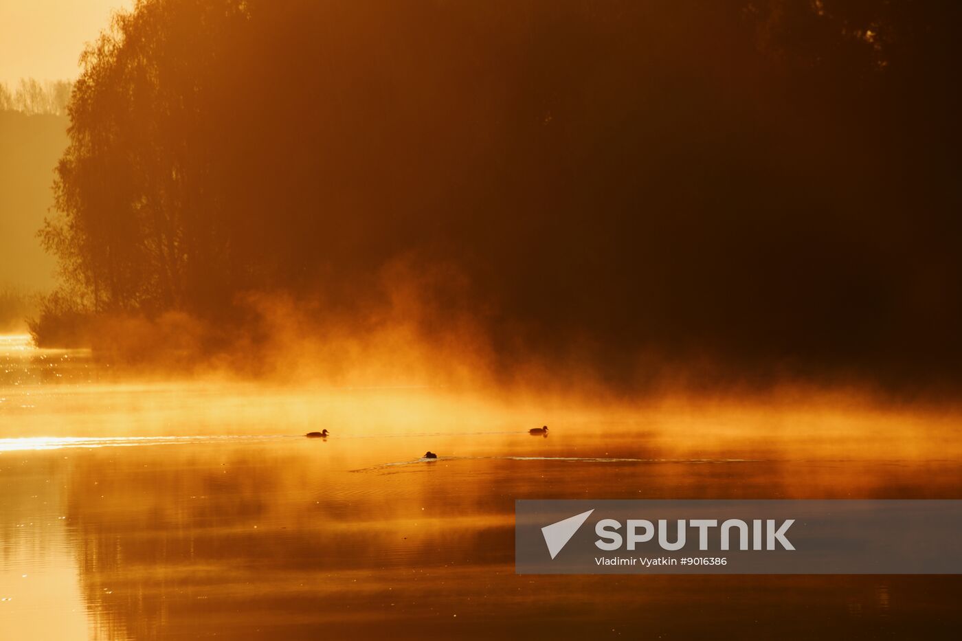 Russia Environment