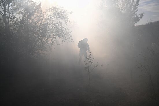 Russia Ukraine Military Operation Assault Units