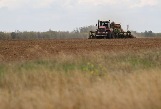 Russia Agriculture Winter Crops