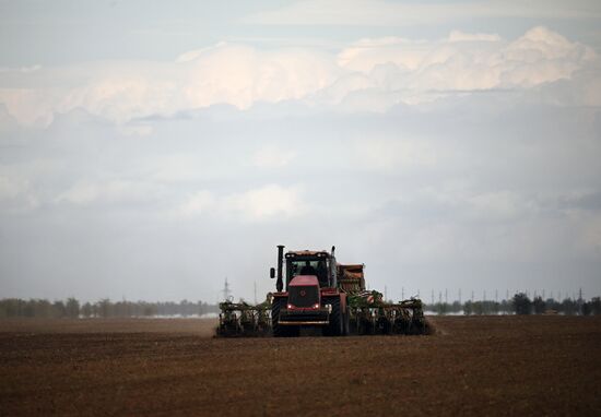 Russia Agriculture Winter Crops