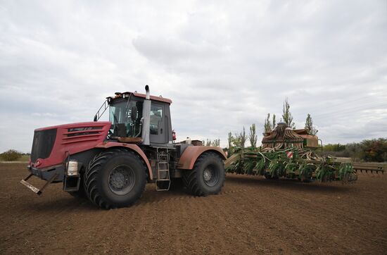 Russia Agriculture Winter Crops