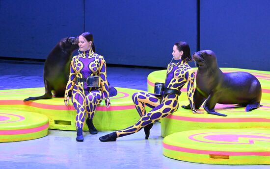 Russia Water Show