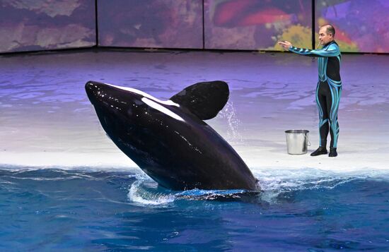 Russia Water Show