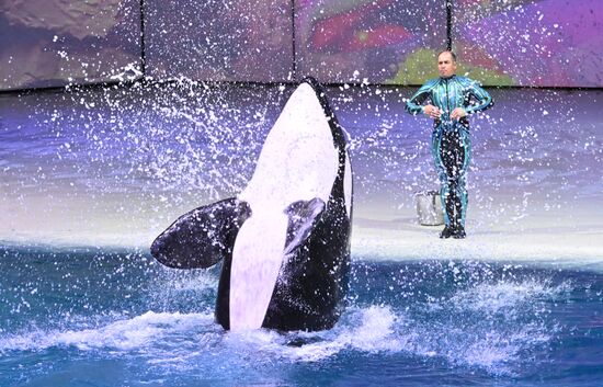 Russia Water Show
