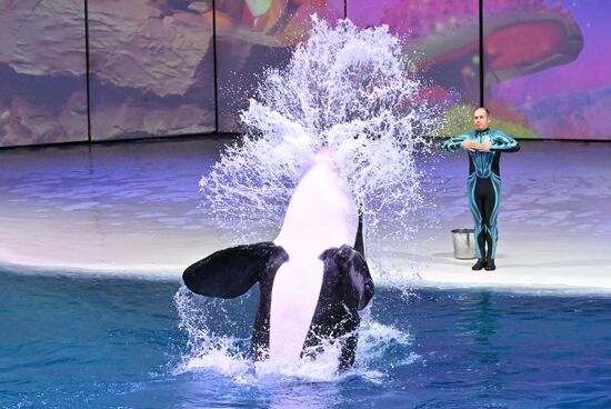 Russia Water Show