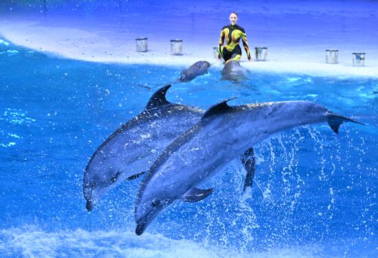 Russia Water Show