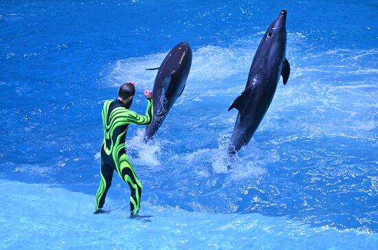 Russia Water Show
