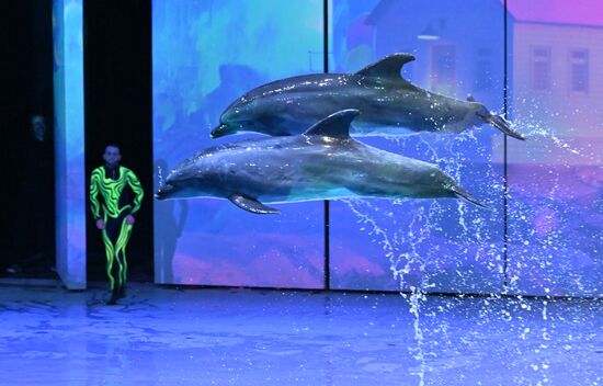 Russia Water Show