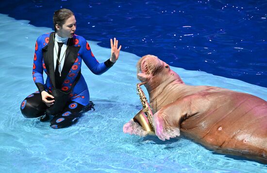 Russia Water Show