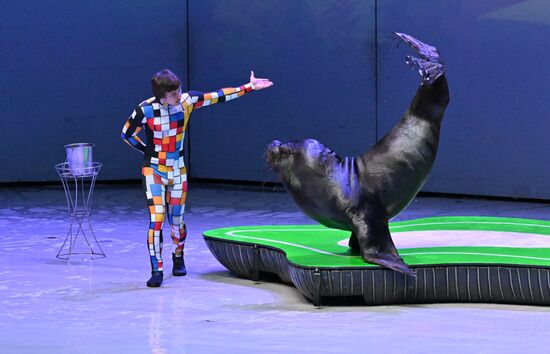 Russia Water Show