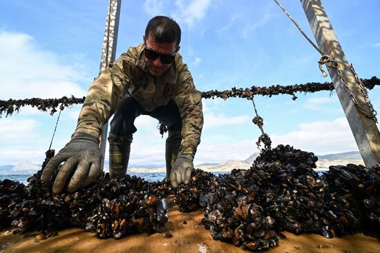 Russia Crimea Aquaculture