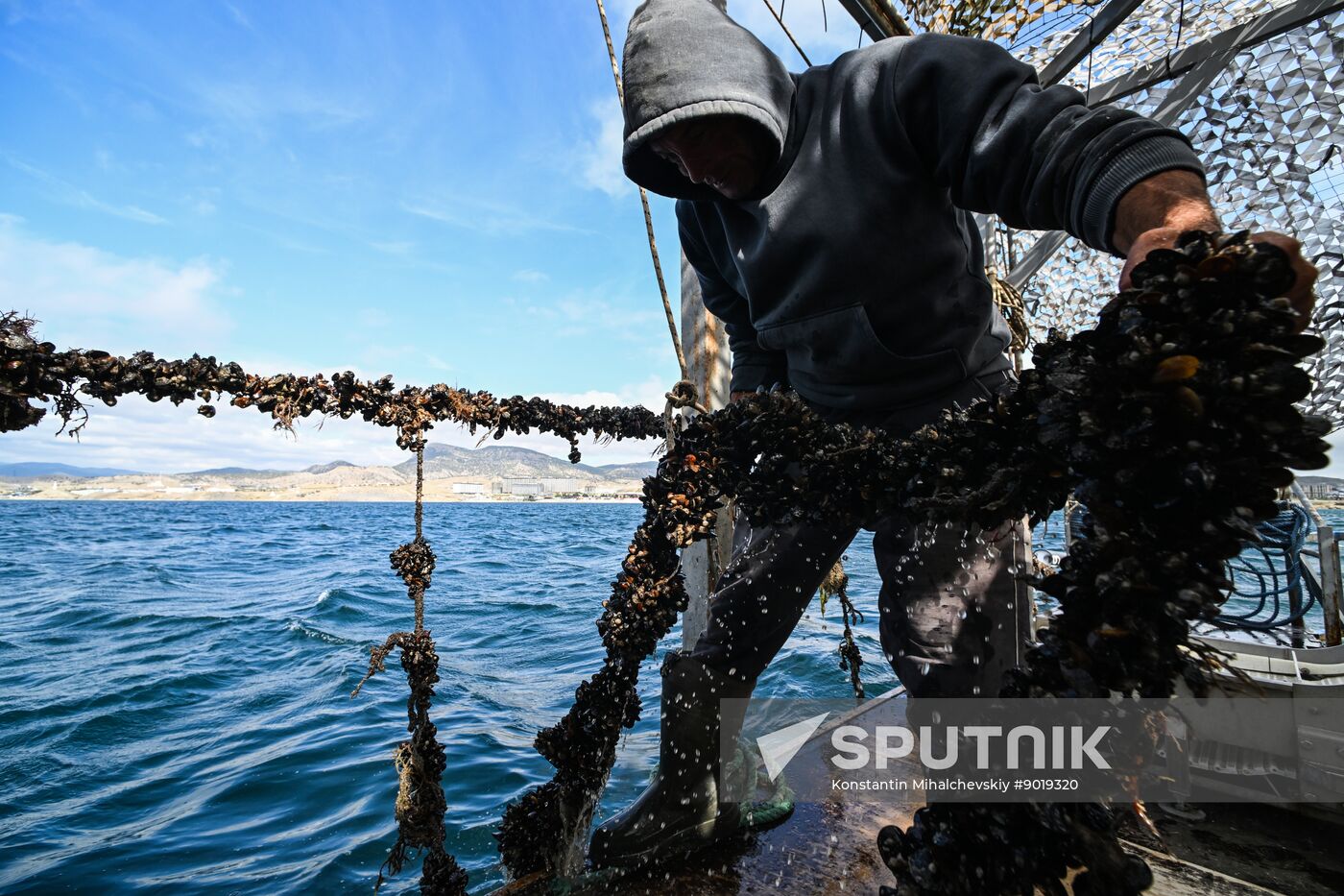 Russia Crimea Aquaculture