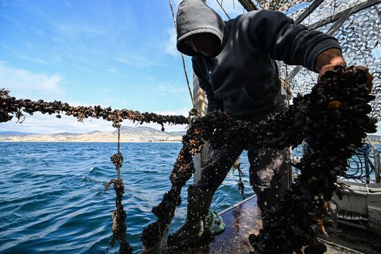 Russia Crimea Aquaculture