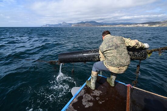 Russia Crimea Aquaculture