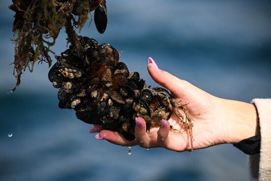 Russia Crimea Aquaculture