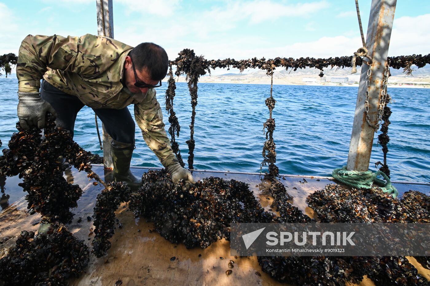 Russia Crimea Aquaculture