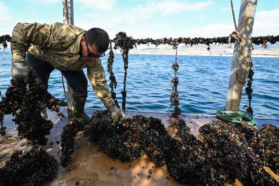 Russia Crimea Aquaculture